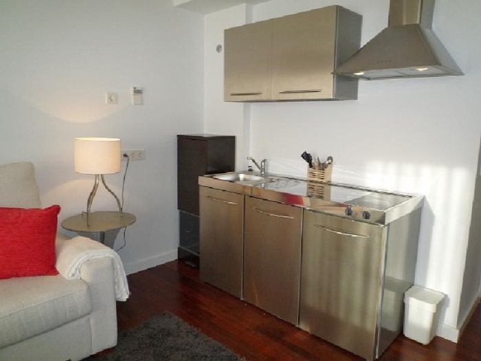 Bright Studio in Chamartin #449 in Madrid