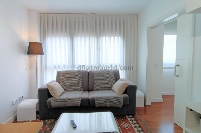 Apartamento Luminoso en Chamartin de 1 Dormitorio #457 en Madrid