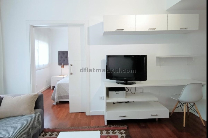 Apartamento Luminoso en Chamartin de 1 Dormitorio #457 en Madrid