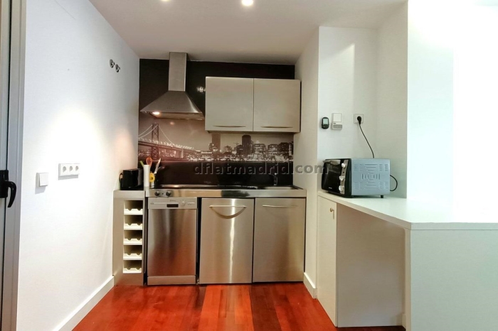 Apartamento Luminoso en Chamartin de 1 Dormitorio #457 en Madrid