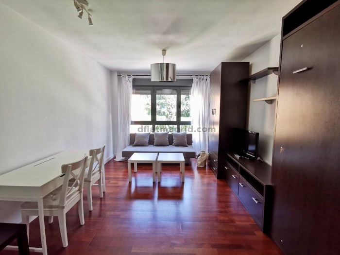 Bright Studio in Chamartin #458 in Madrid