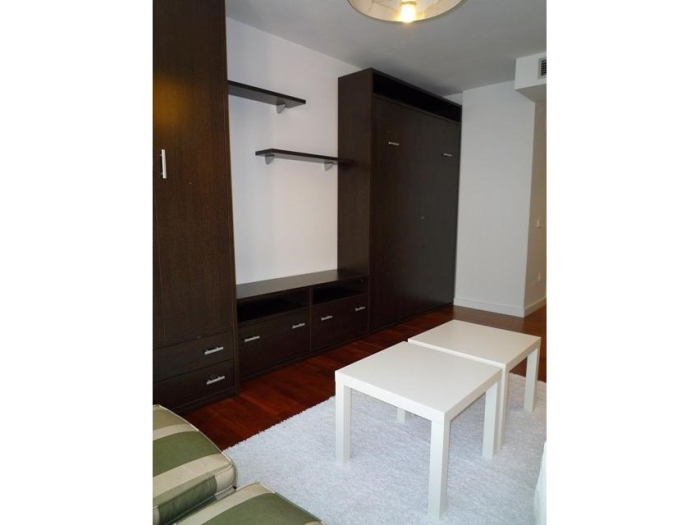 Bright Studio in Chamartin #458 in Madrid