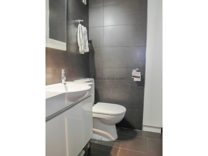 Bright Studio in Chamartin #481 in Madrid