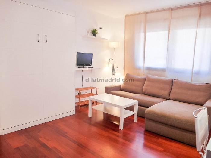 Bright Studio in Chamartin #481 in Madrid