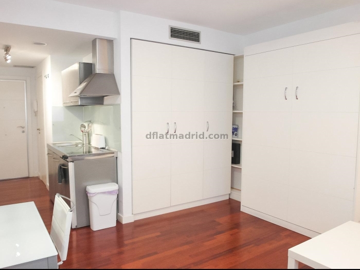 Bright Studio in Chamartin #481 in Madrid