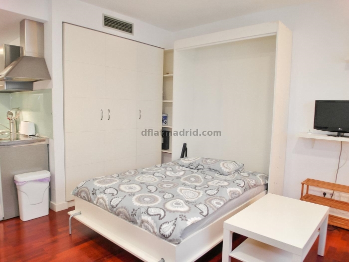 Bright Studio in Chamartin #481 in Madrid