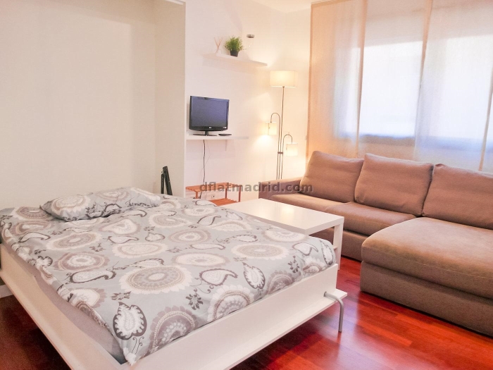 Bright Studio in Chamartin #481 in Madrid