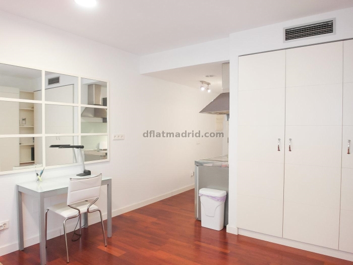 Bright Studio in Chamartin #481 in Madrid