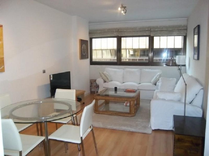 Central Apartment in Salamanca of 2 Bedrooms #510 in Madrid