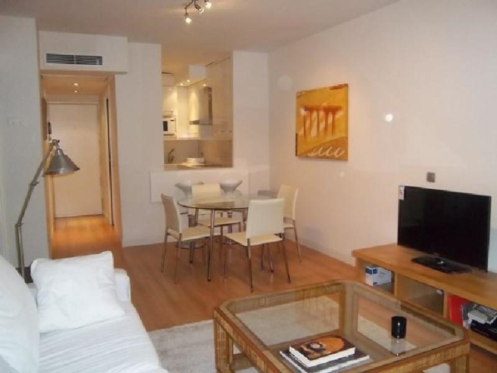 Apartamento Céntrico en Salamanca de 2 Dormitorios #510 en Madrid