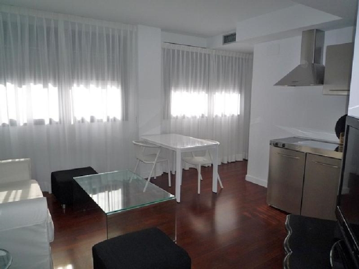 Apartamento Luminoso en Chamartin de 1 Dormitorio #519 en Madrid