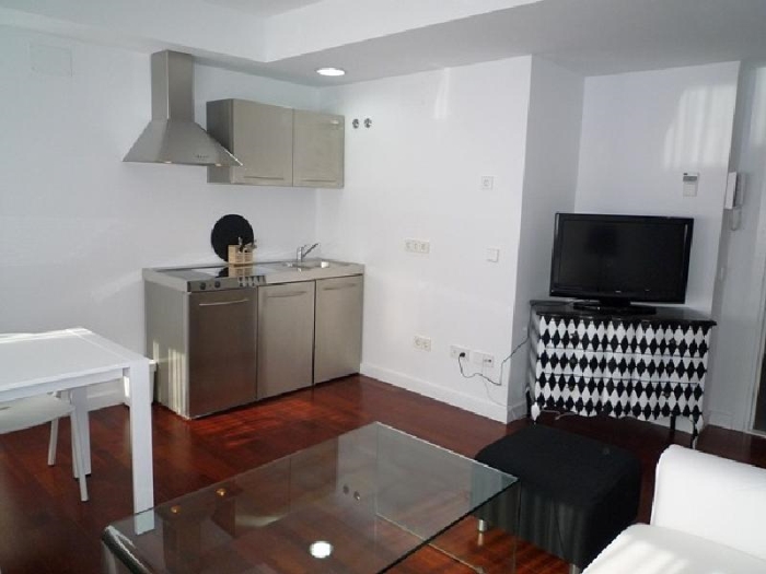 Apartamento Luminoso en Chamartin de 1 Dormitorio #519 en Madrid