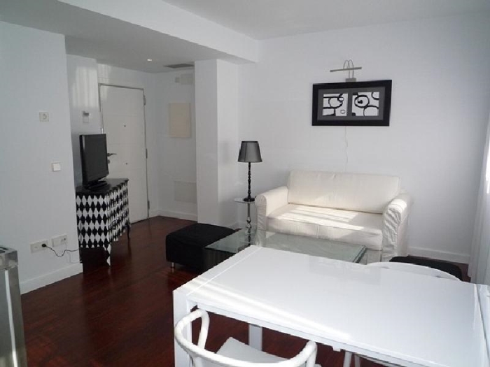 Apartamento Luminoso en Chamartin de 1 Dormitorio #519 en Madrid