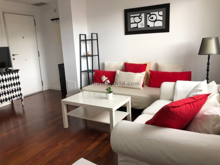 Bright Apartment in Chamartin of 1 Bedroom #520 in Madrid