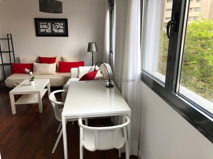 Apartamento Luminoso en Chamartin de 1 Dormitorio #520 en Madrid