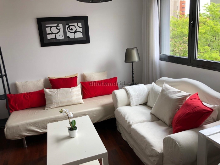 Apartamento Luminoso en Chamartin de 1 Dormitorio #520 en Madrid