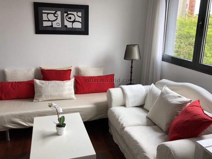 Bright Studio in Chamartin #525 in Madrid