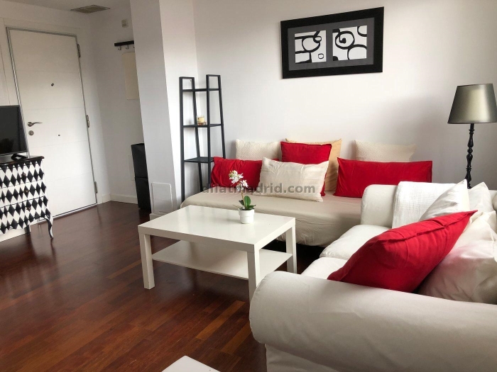 Bright Studio in Chamartin #525 in Madrid