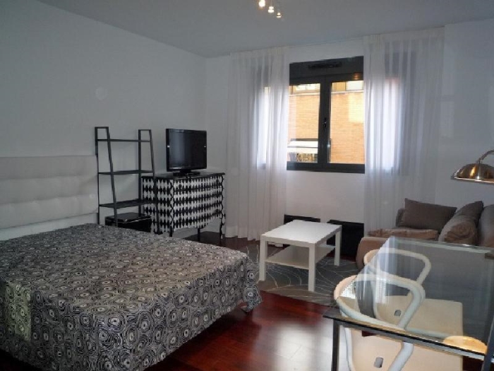 Studio in Chamartin #526 in Madrid