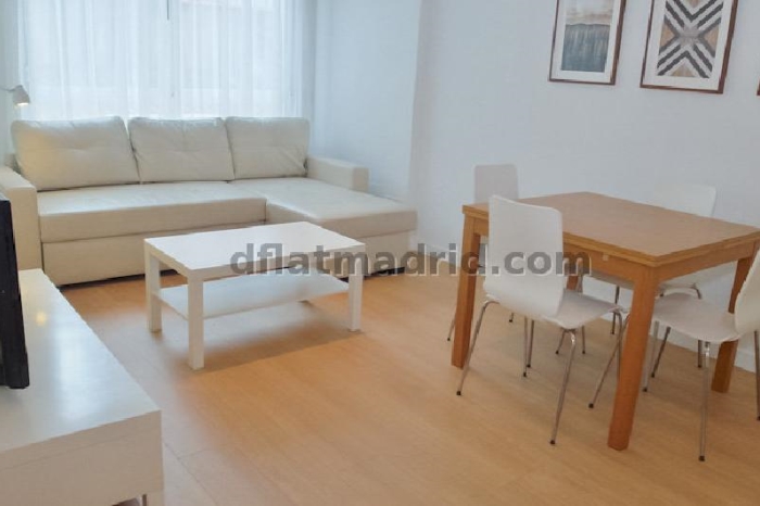 Spacious Apartment in Chamartin of 2 Bedrooms with terrace #651 in Madrid