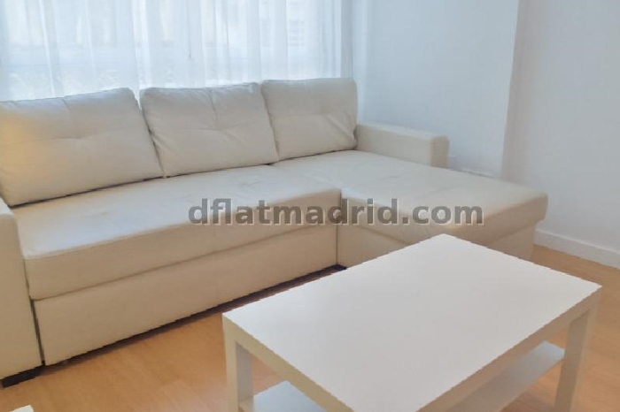 Spacious Apartment in Chamartin of 2 Bedrooms with terrace #651 in Madrid
