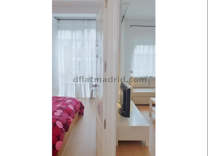 Spacious Apartment in Chamartin of 2 Bedrooms with terrace #651 in Madrid