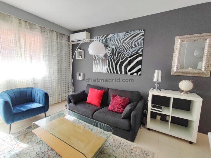 Apartamento Luminoso en Chamartin de 1 Dormitorio #865 en Madrid