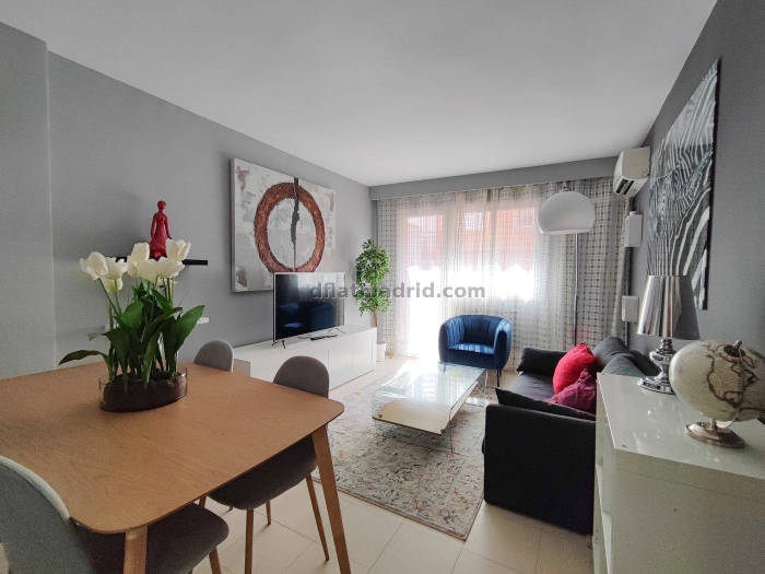 Apartamento Luminoso en Chamartin de 1 Dormitorio #865 en Madrid