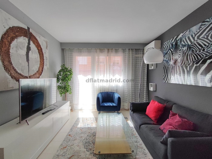 Apartamento Luminoso en Chamartin de 1 Dormitorio #865 en Madrid