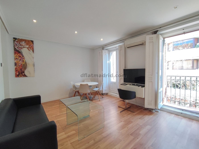 Apartamento Céntrico en Salamanca de 2 Dormitorios #869 en Madrid