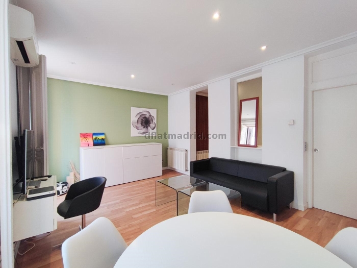 Central Apartment in Salamanca of 2 Bedrooms #869 in Madrid
