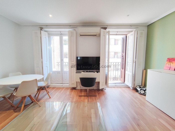 Central Apartment in Salamanca of 2 Bedrooms #869 in Madrid