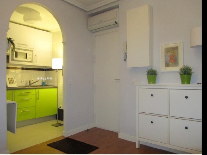 Apartamento Luminoso en Centro de 1 Dormitorio #1002 en Madrid