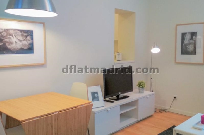 Quiet Apartment in Centro of 1 Bedroom #1019 in Madrid