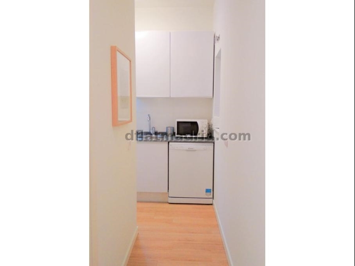 Quiet Apartment in Centro of 1 Bedroom #1019 in Madrid
