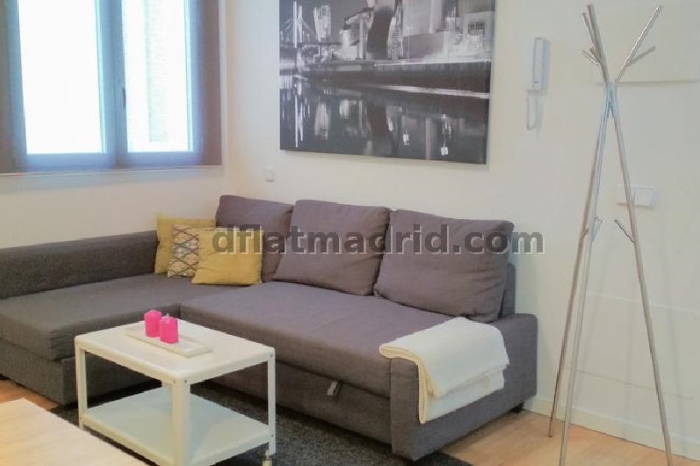 Quiet Apartment in Centro of 1 Bedroom #1019 in Madrid