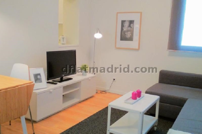 Quiet Apartment in Centro of 1 Bedroom #1019 in Madrid