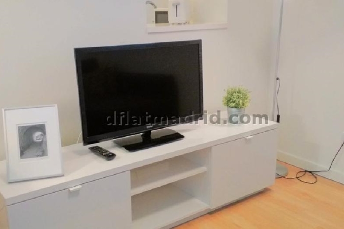 Quiet Apartment in Centro of 1 Bedroom #1019 in Madrid