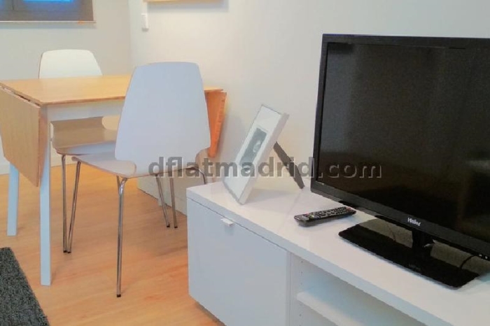 Quiet Apartment in Centro of 1 Bedroom #1019 in Madrid