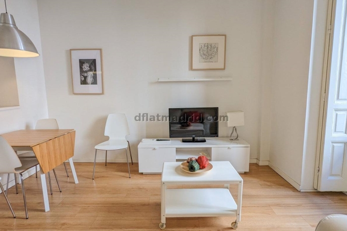 Spacious Apartment in Centro of 3 Bedrooms #1020 in Madrid