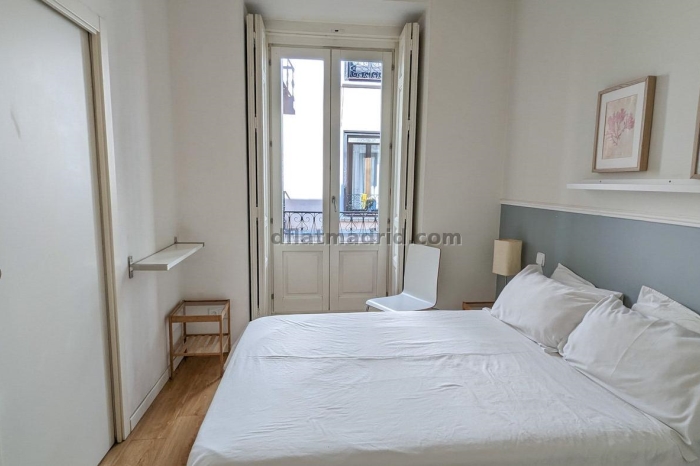 Spacious Apartment in Centro of 3 Bedrooms #1020 in Madrid