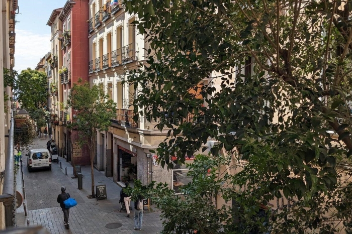 Apartamento en Centro de 2 Dormitorios #1020 en Madrid
