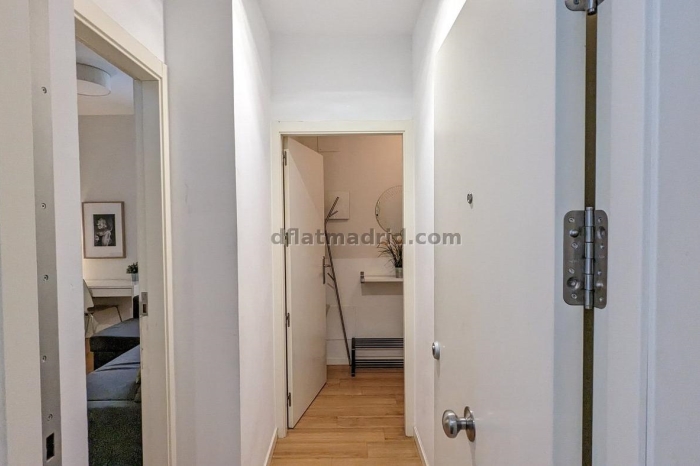 Spacious Apartment in Centro of 3 Bedrooms #1020 in Madrid
