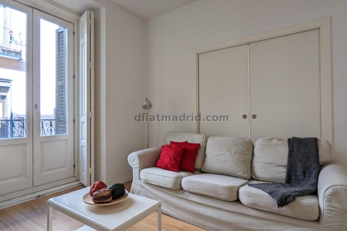 Spacious Apartment in Centro of 3 Bedrooms #1020 in Madrid