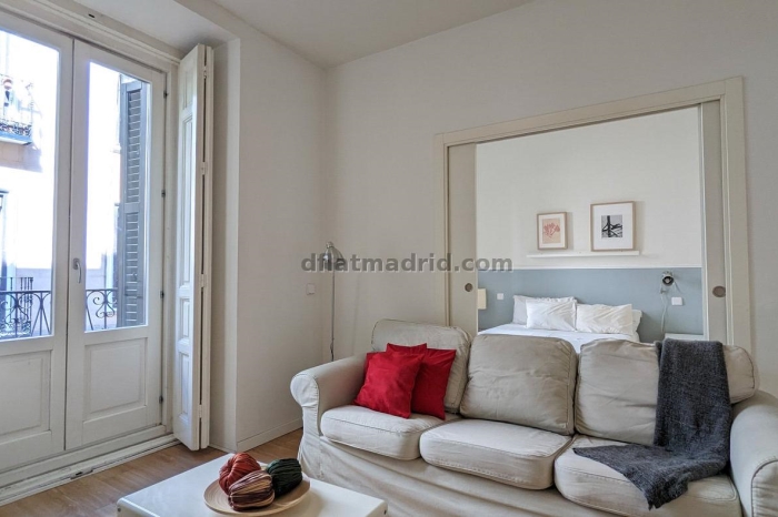 Spacious Apartment in Centro of 3 Bedrooms #1020 in Madrid