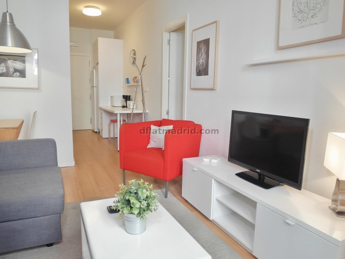 Apartamento Luminoso en Centro de 2 Dormitorios #1021 en Madrid