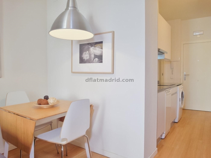 Apartamento Luminoso en Centro de 2 Dormitorios #1021 en Madrid