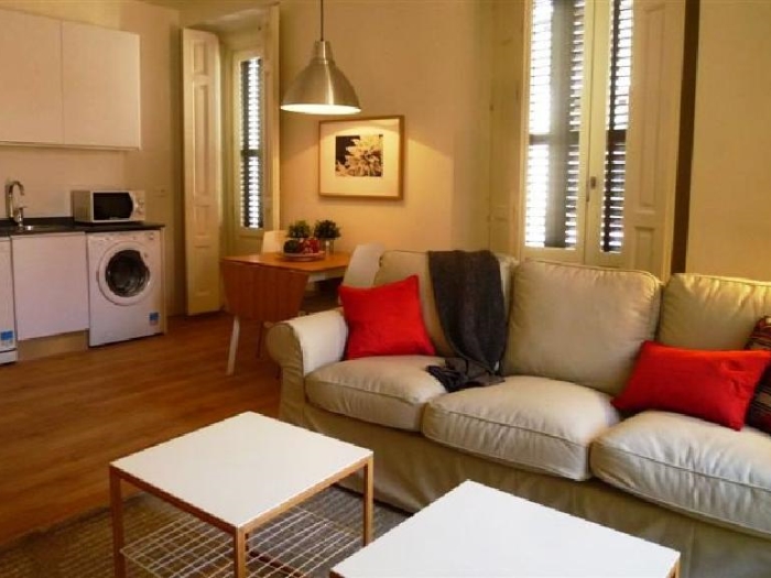 Apartamento Luminoso en Centro de 2 Dormitorios #1022 en Madrid