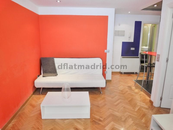 Apartamento en Centro de 1 Dormitorio #1299 en Madrid