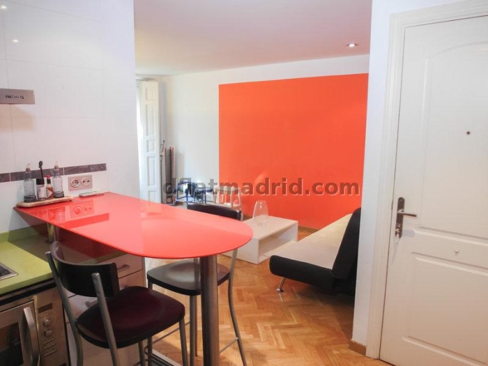 Apartamento en Centro de 1 Dormitorio #1299 en Madrid
